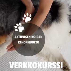 Aktiivisen koiran kehonhuolto verkkokurssi