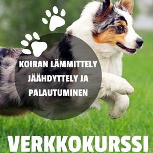 Lämmittely, jäähdyttely ja palautuminen verkkokurssi