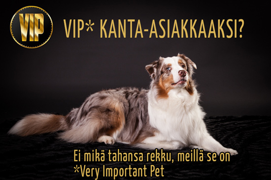 VIP kanta-asiakas